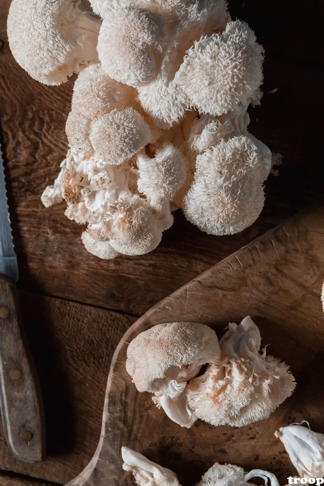 Le Lion’s Mane : le champignon du cerveau, maintenant en gummies avec Baleema