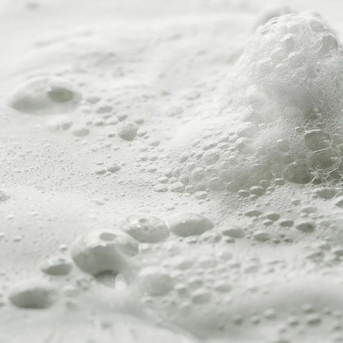 LE SHAMPOING CUIR CHEVELU (390ml)